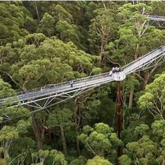 Southforrest