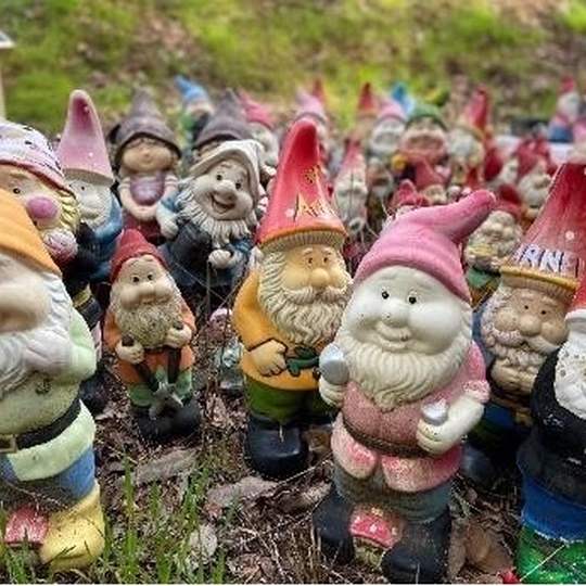 Gnomesville