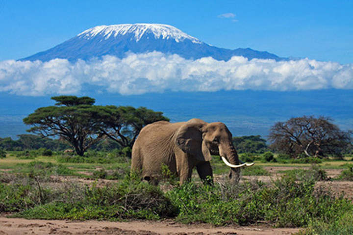 Tanzania mount kilimanjaro