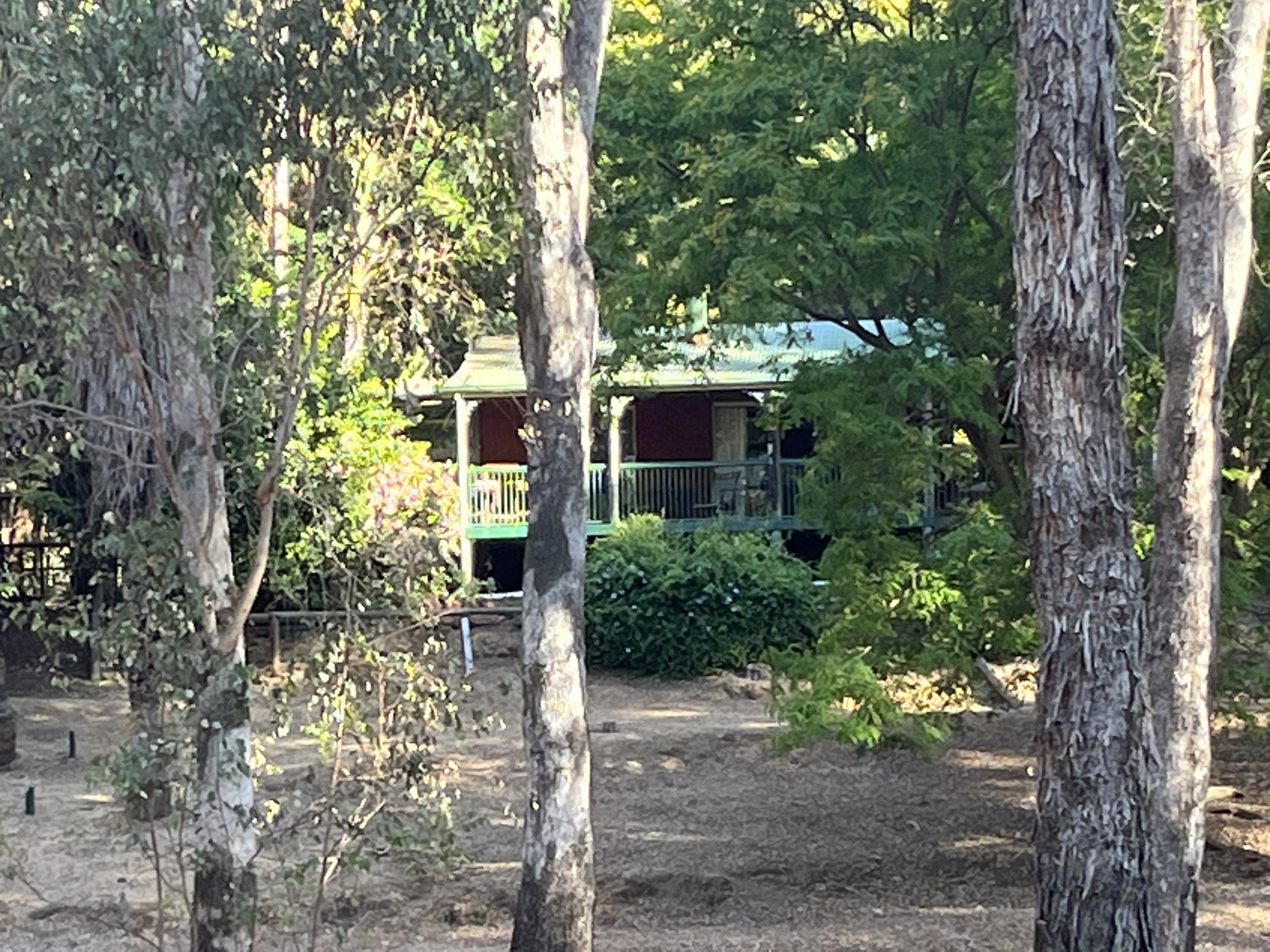 Lovely bush cabin for two for rent in Nannup, WA